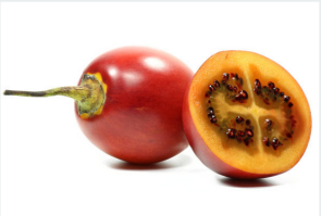 tomate de arbol fruto